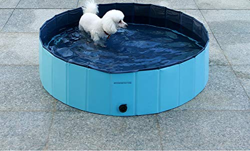 WLDOCA Piscina Plegable para Perros Bañera para Mascotas Baño Portátil para Perros, Gatos y Niños, Azul,S(80cm*20cm)