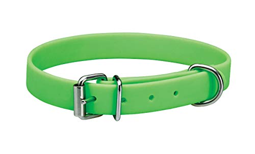 Woofmasta - Collar de limpieza fácil para perro (XS) (Verde)