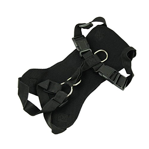 XCSSKG - Cinturón de Seguridad para Perro, Gato o Mascota, Tamaño Grande (50 cm – 70 cm, Pecho 65 cm – 80 cm)