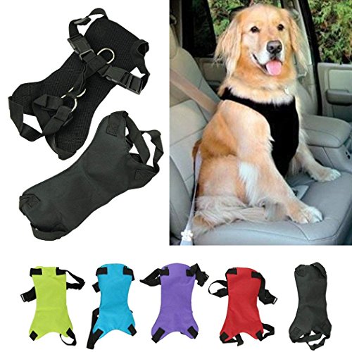 XCSSKG - Cinturón de Seguridad para Perro, Gato o Mascota, Tamaño Grande (50 cm – 70 cm, Pecho 65 cm – 80 cm)