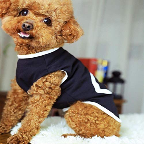 Xinger Chaleco Camisa pequeña para Mascotas Gato Ropa para Perros Estampado de Pata Algodón Perros Camiseta Mascota Cachorro Ropa de Verano Ropa Abrigo para Perro, Pata Blanca, XXL