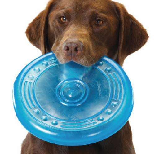 ymx802 Mejor Venta de Mascotas Frisbee Perro Blando Juguete Interactivo Entrenamiento Masticar Perro Juguete al Aire Libre de Emergencia Pet Bowl