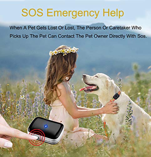 ZhHaoXin Pet Localizador De Mascotas GPS Mini Impermeable Localizador Anti-Perdida/Anti-Robo de Dispositivos, Mini Bluetooth Rastreador para Mascotas/Gato/Perro/Niños, Black