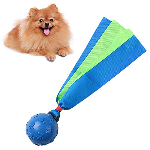 zNLIgHT - Mancuerna para perro o cachorro de fútbol, forma de balón de fútbol, resistente a los mordeduras, juguete chirriante, color azul 1