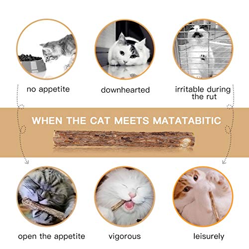 AIDIYA Catnip De Hierba Gatera De Matatabi para Gatos Natural Cuidado Dental Chew Catnip Sticks para Dientes Diámetro de Limpieza (M)