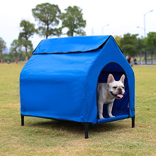 AmazonBasics - Caseta para mascotas, elevada, portátil, pequeña, azul