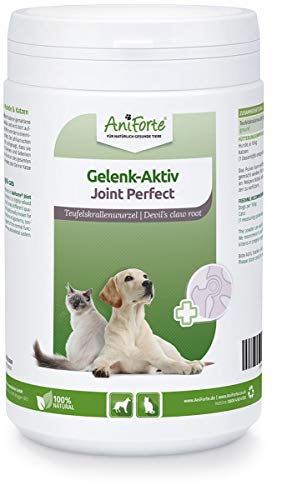 AniForte Garra del diablo en polvo para perros y gatos 500g - producto 100% natural para articulaciones, tendones y ligamentos. Ayuda a la movilidad y a la función articular, de alta aceptación