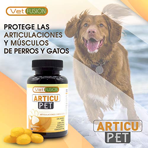 ArticuPet | Antiinflamatorio para perros y gatos | Recupera su energía y movilidad | Combate el dolor y la inflamación | Con colágeno + cúrcuma + condroitina + magnesio | 50 unidades sin azúcar