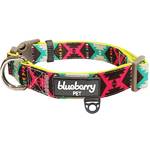 Blueberry Pet Soft & Comfy Vintage Tribal Pattern Adjustable Neoprene Padded Dog Collar in Extravagant Green, Large