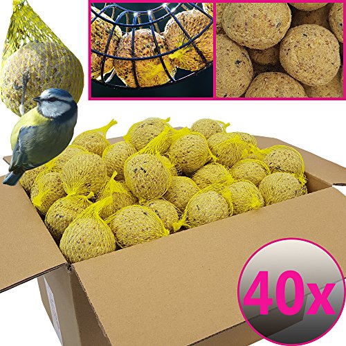 Bolas de grasa para pájaros - 40 bolas = 3,6 kg - Alimento natural con gran aporte energético para aves silvestres - Bolas de grasa con red individual para colgar