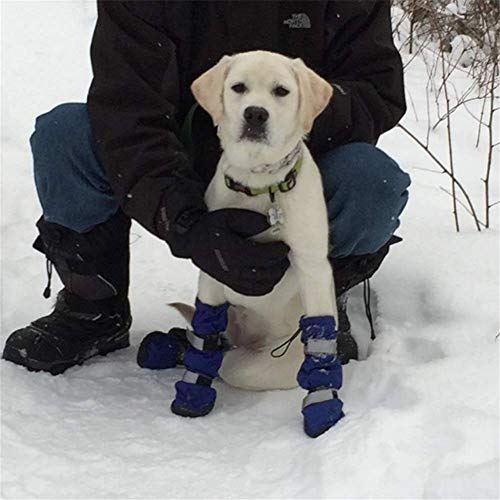 Botas Petleso impermeables para perros y mascotas medianas y grandes, para nieve o días lluviosos