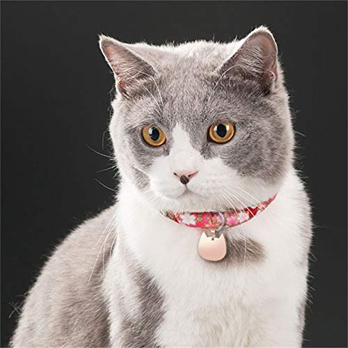 by Personalizado Medalla para Gato Perro Identificación de Acero Inoxidable Forma de Gato Grabado Gratis en Dos Caras 32 * 29 * 1.7 MM