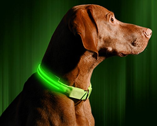 Cable de carga para la Illumiseen LED collar de perro y plomo/correa