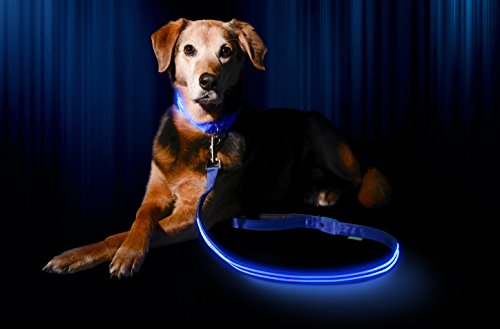 Cable de carga para la Illumiseen LED collar de perro y plomo/correa