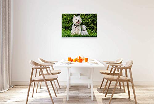 Calvendo Premium Lienzo 90 cm x 60 cm Horizontal, un Motivo del Calendario Kobold en 4 Patas, West Highland White Terrier Imagen sobre Lienzo, impresión en Lienzo Animales