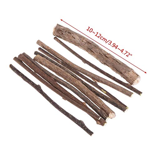 Cat Toys - 10 Pcs Bag Natural Polygonum Stick Catnip Cat Toys Cleaning Teeth Pure Molar Snacks - Fishing Leather Kickeroo Green Night Mouse From Jacks Zanies Assorted Extendable Prey Assortmen