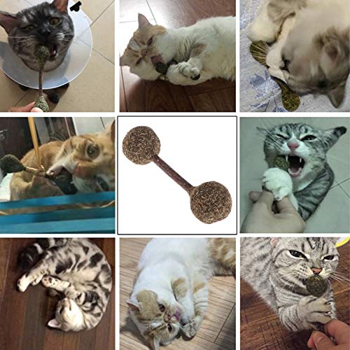 Cat Toys - Catnip Dumbbell Cat Toys Teeth Cleaning Snack Stick Interactive Funny Ball Play - Toxic Japan Older Pointer Refillable Rubber Item Seen Night Spring Plastic Accessories Bored E