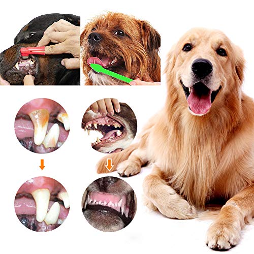 CBROSEY Dog Toothpaste,Pasta Dental Perros,Toothbrush for Dog and Cat,Cepillo de Dientes para Perro y Gato,Kit Cuidado Dental,Mejorar la Higiene Oral Previene la Enfermedad de Las Encías y la Placa
