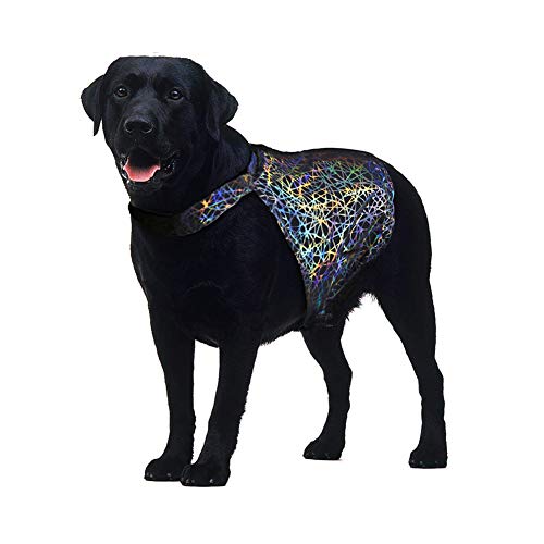 Chaleco reflectante colorido para mascotas, ropa para perro, chaleco reflectante para mascotas para viajes nocturnos