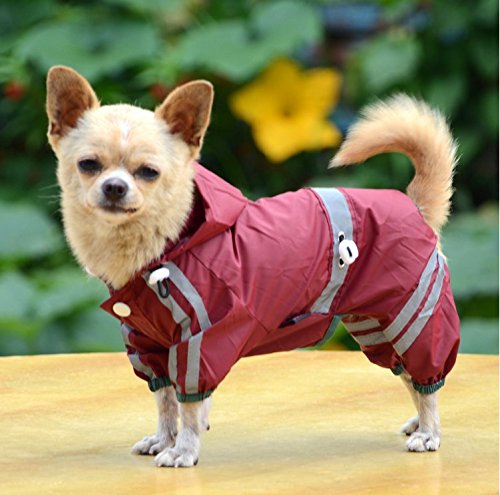 Chubasquero impermeable para mascotas, chaqueta impermeable para gatos, campana para perro, impermeable, abrigo reflectante para ropa