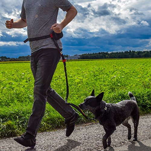 Correa perro para correr a manos libres elástica reflectante y extensible de 120 a 200 cm | Canicross