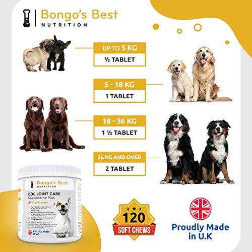 Cuidado de las articulaciones de perros de Bongo’s Best – Suplemento de glucosamina y mejillón de labio verde de máxima calidad para perros de todo tamaño y edad