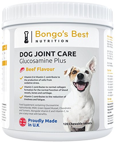 Cuidado de las articulaciones de perros de Bongo’s Best – Suplemento de glucosamina y mejillón de labio verde de máxima calidad para perros de todo tamaño y edad