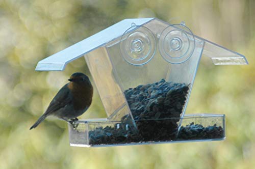 dobar 11503 Ventana de Casa de pájaros de Forro dispensador de plástico, Pajarera Comedero Transparente para Colgar, con ventosas, 24 x 9.6 x 15 cm