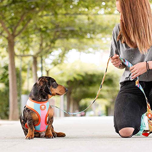 Dukier - Arnés Reversible para Perro, con Malla Transpirable, cómodo y Ajustable