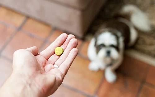 Feed My Pooch Glucosamina Condroitina para Perros con MSM - Suplementos Nutricionales para la Salud de Las Articulaciones de los Perros - Proporciona Alivio para el Dolor de la Artritis en Perros