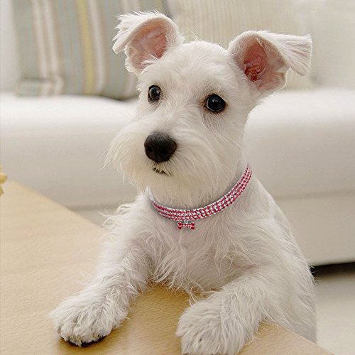 GEZICHTA Collar para Perro con Diamantes de Imitación de la Marca Gzichta, Collar para Mascotas Pequeñas o Medianas con Colgante en Forma de Hueso