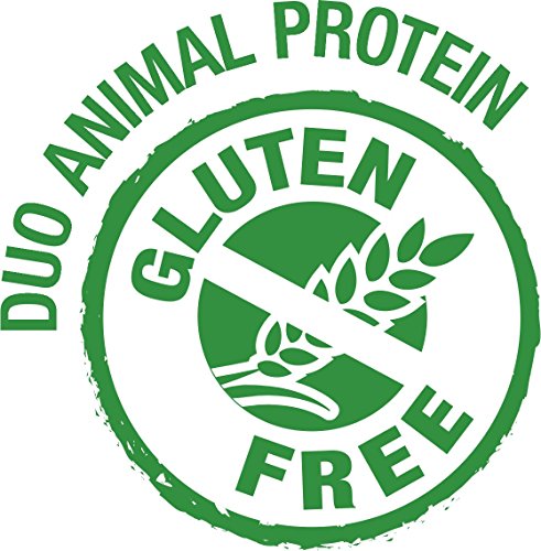 GimDog Pure Delight, pollo con cordero – Snack rico en proteínas en deliciosa gelatina – Especial para perros de hasta 10 kg – Sin azúcar añadido – 18 latas (18 x 85 g)