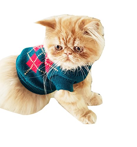 Glamour Girlz - Jersey cálido de punto para perro, gato, color verde y rojo