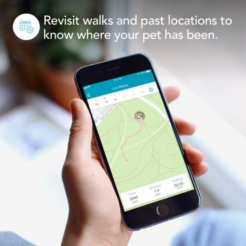 Hangang Rastreador GPS para Perros y Gatos,Último Modelo Localizador GPS Resistente al Agua se Ajusta al Collar para Perros con Seguimiento de Actividad. (Azul)