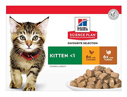 Hill's Feline Kitten Multipack Chicken & Turkey Comida para Gatos - Paquete de 12 x 85 gr - Total: 1020 gr