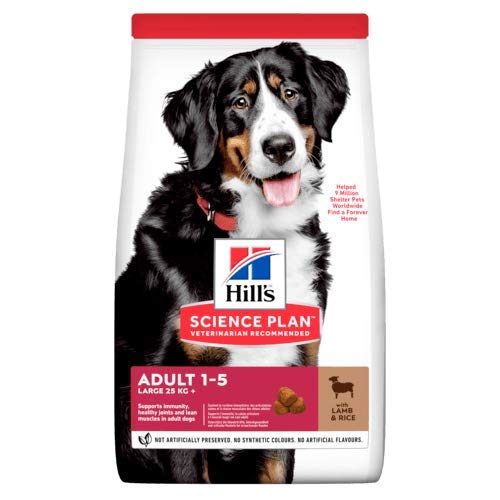 Hills Science Plan Canine Adult Large Breed Cordero & Arroz 14Kg 14000 g