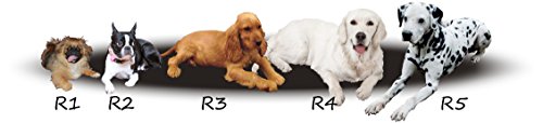 Hobbydog R1 CEPCZC1 Cesarean R1 - Perro de Peluche (65 x 52 cm, Talla S, 2 kg), Color Negro y Rojo
