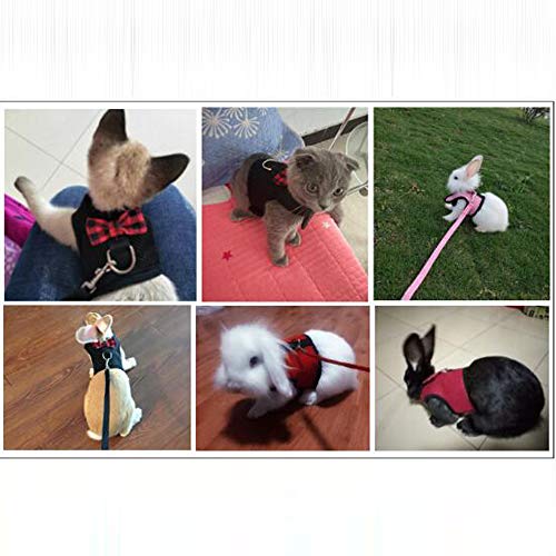 JYSPT - Arnés de Malla Transpirable para Mascotas, diseño de Conejo, cobaya, Cerdo y Ardilla