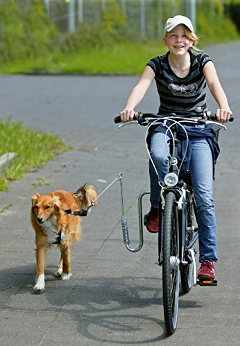 Karlie Flamingo 83895 Kit para Pasear el Perro con Bicicleta