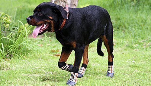 KEESIN Mascota Perro Perrito Calcetines Deportivos Antideslizantes Impermeables, Botas, Protector de Pata para Mascotas Pequeñas/Medianas/Grandes Perros #3