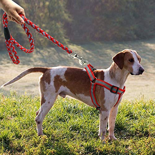 Kion Pasue pet leashes Small Dog Harness and Leash Set Reflective Nylon Adjustable Small Dog Harness Leads Rope Set,Red,L