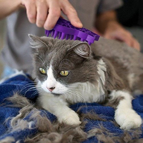 KONG - Cat ZoomGroom™ - Cepillo para Gatos de Masaje y Peinado Fabricado de Caucho Blando
