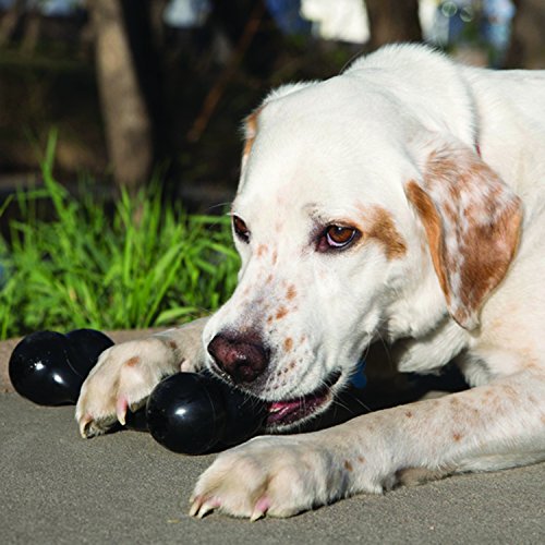 KONG - Extreme Goodie Bone™ - Hueso para perro de caucho, mandíbulas potentes, negro - Raza grande