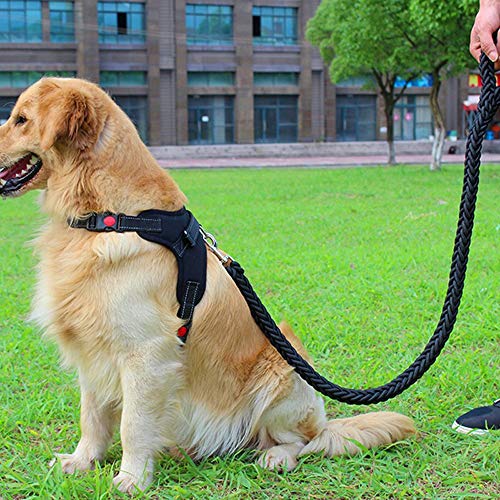 Kouintl Cadena del perro de tamaño mediano perro grande Golden Retriever Labrador Samora productos for mascotas a prueba de explosiones de la cadena en el pecho del perro de la correa Set, Rojo y Negr