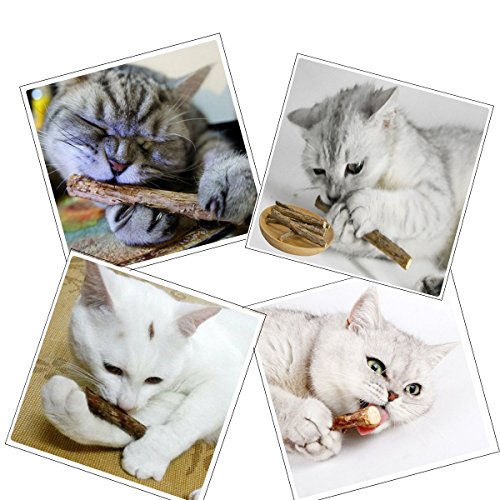 Makone Catnip, 10 Palitos De Hierba Gatera De Matatabi para Gatos Natural Cuidado Dental Chew Catnip Sticks para Dientes Diámetro de Limpieza 10-15mm