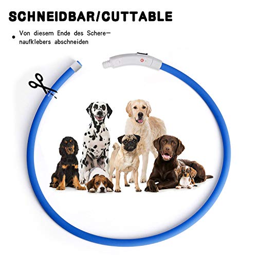 Mookis Collar de Perro LED, USB Recargable, Collar de Perro Mascota Brillante para Seguridad Nocturna, Collar de luz de Moda (Verde, Multicolor)