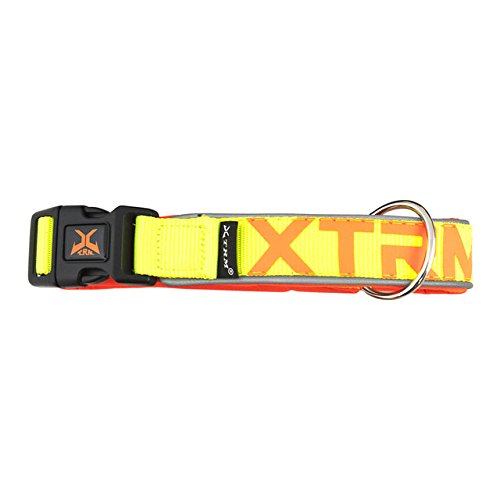 Nayeco collar x-trm neon flash amarillo 15mm x28-35 cm