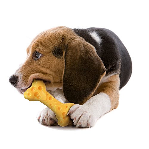 Nylabone Golosina Extreme con Sabor a Queso Juguete masticable para la higiene Dental de los Perros | Sabor a Queso | Mediano | para Perros de hasta 16 kg