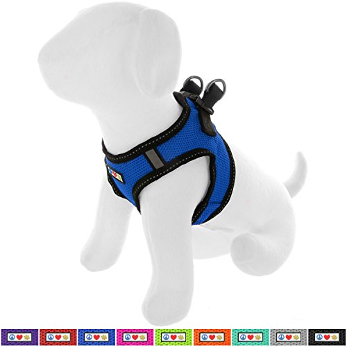 Pawtitas Arnes de Tela Antitirones Perro y Cachorros, Chaleco Acolchado para Mayor Comodidad, diseño Resistente, Ajustable y Transpirable Mediano Azul