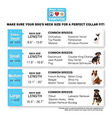 Pawtitas Collar para Perros Ideal para el adiestramiento de tu Mascota, Collar de Perro cómodo y Duradero con Anillo de Metal para Etiqueta de Nombre - Collar Color Marron M